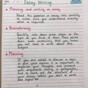ESSAY WRITING HELP