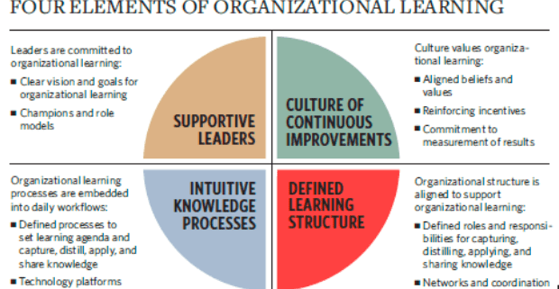 organizational learning strategy